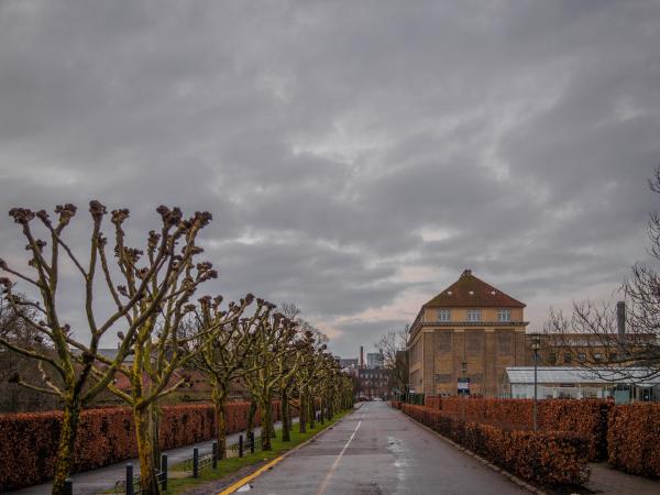 Landbohøjskolens Have