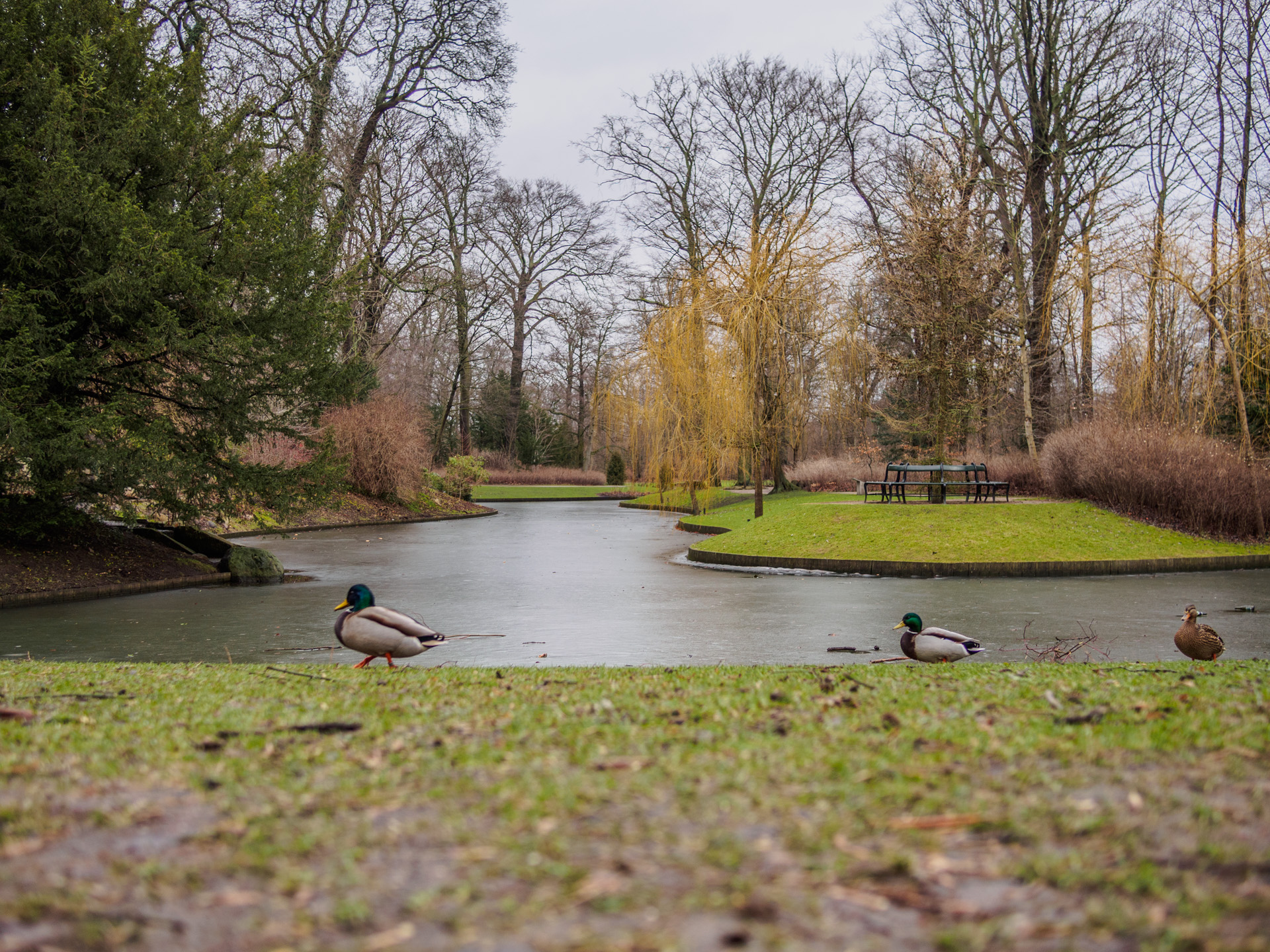 Copenhagen & Frederiksberg