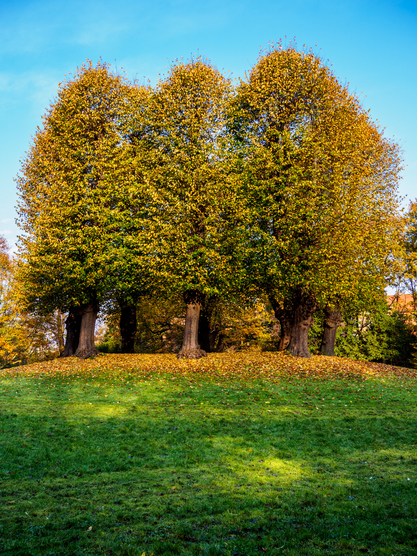 Copenhagen & Frederiksberg
