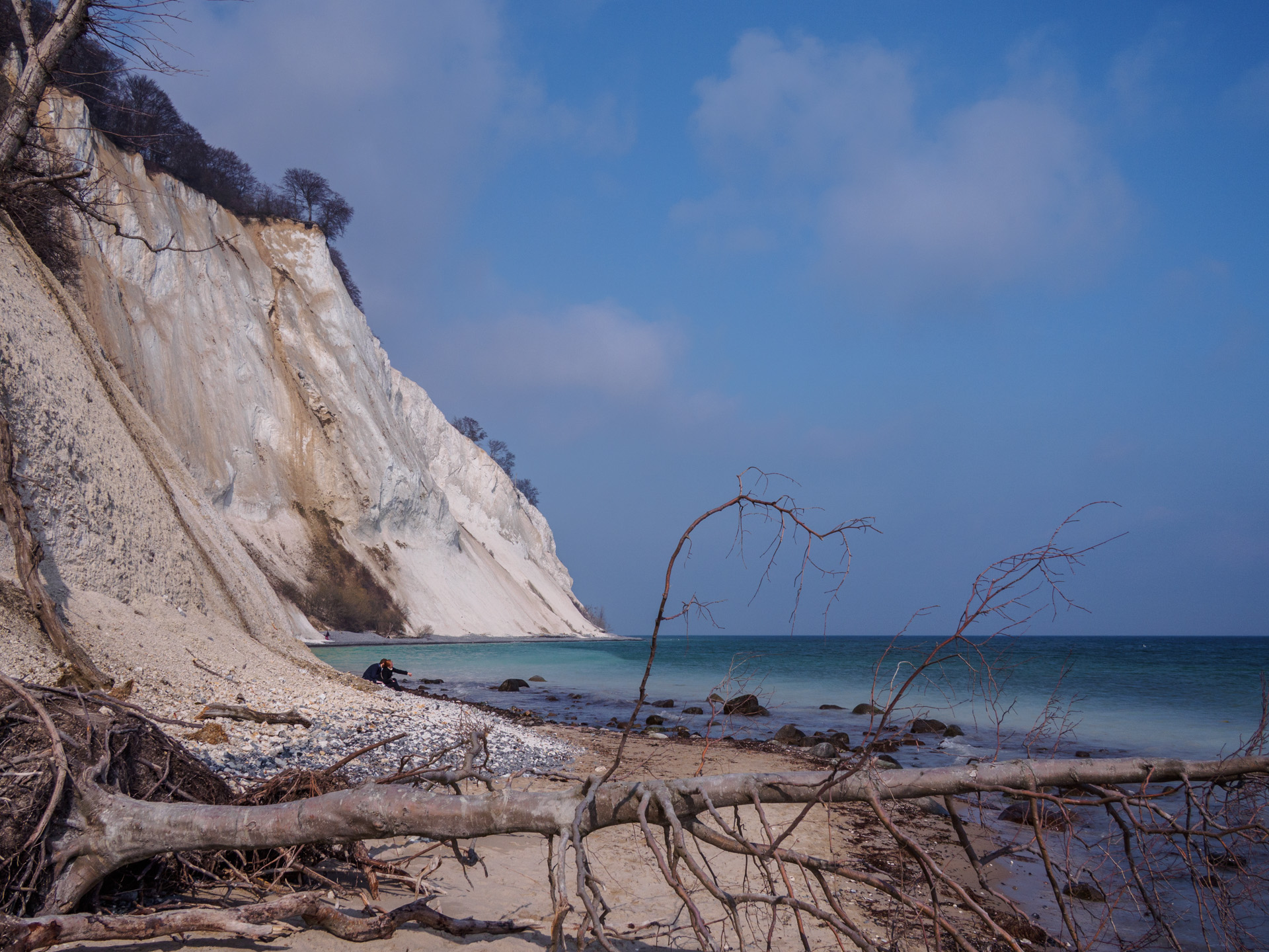Møns Klint