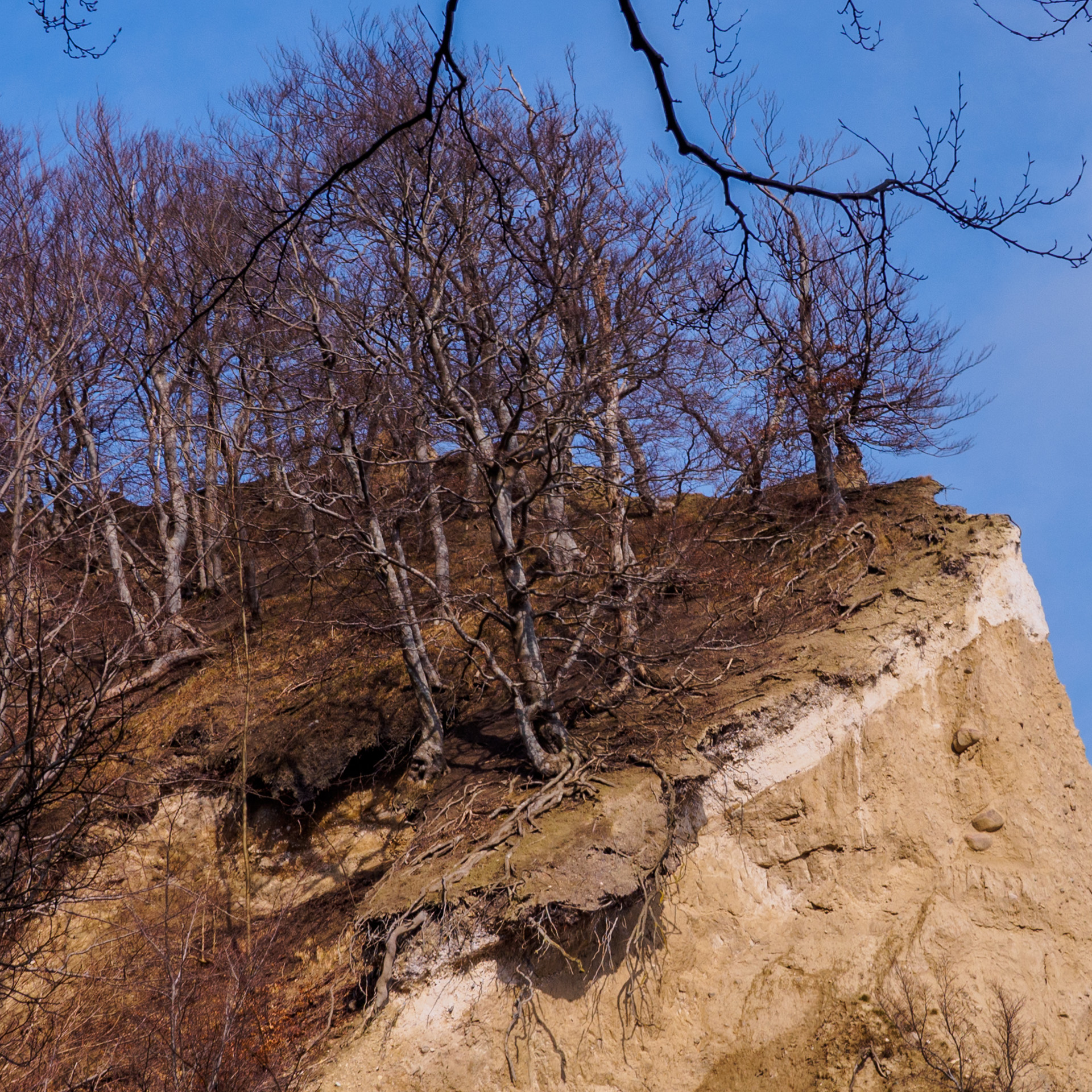 Møns Klint