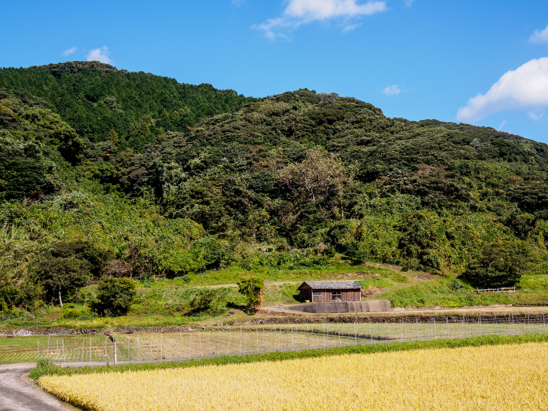 Japan