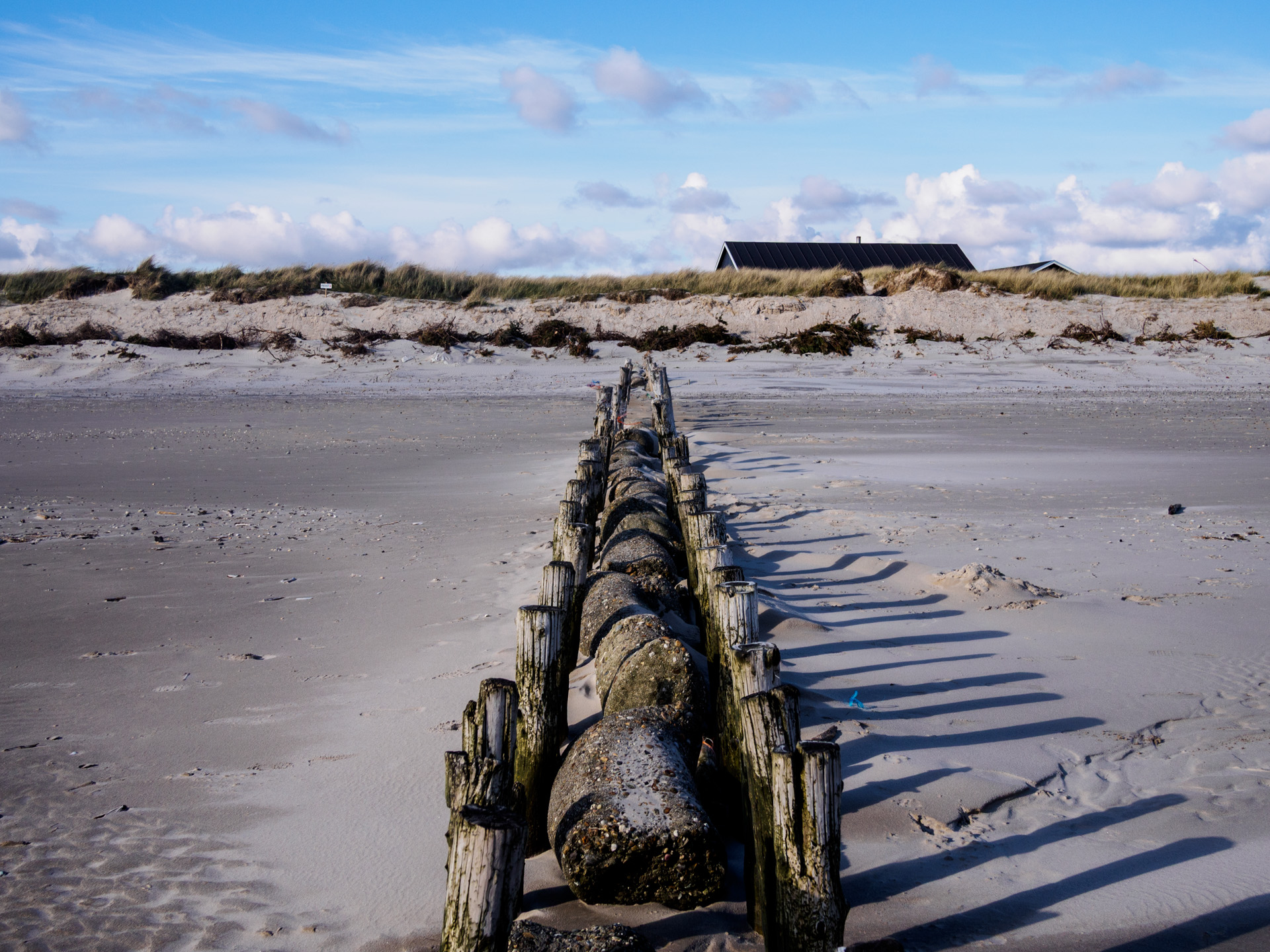 Jutland