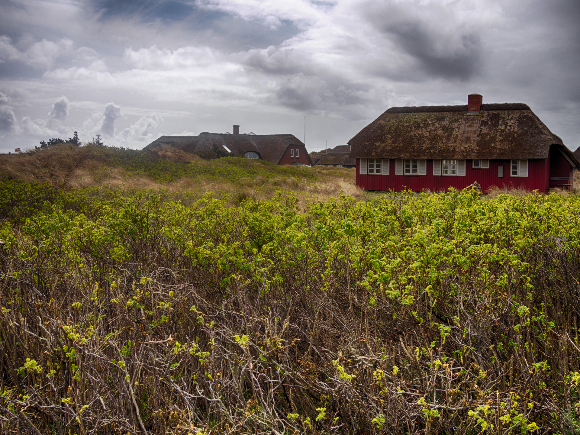 Jutland