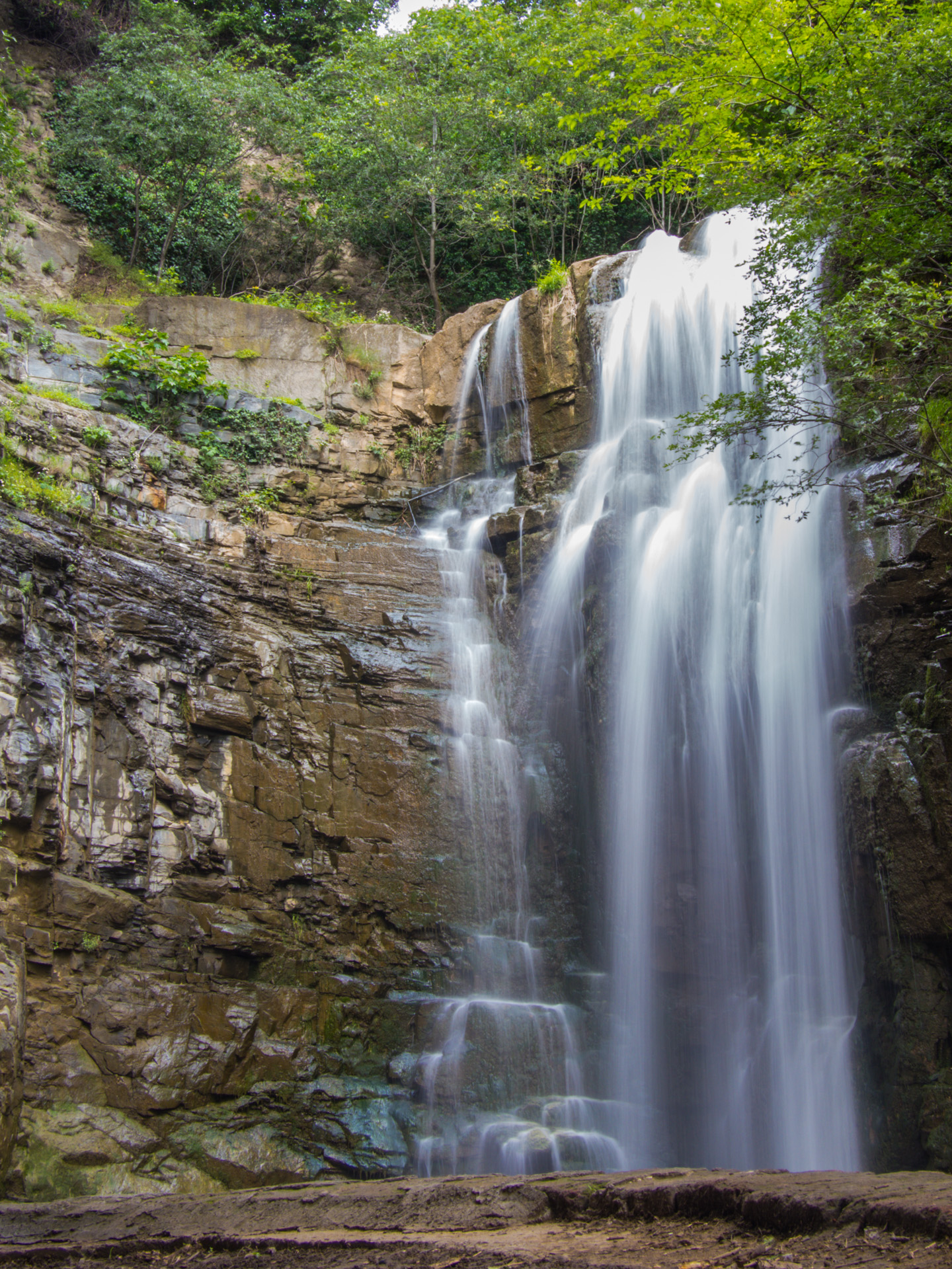 Georgia