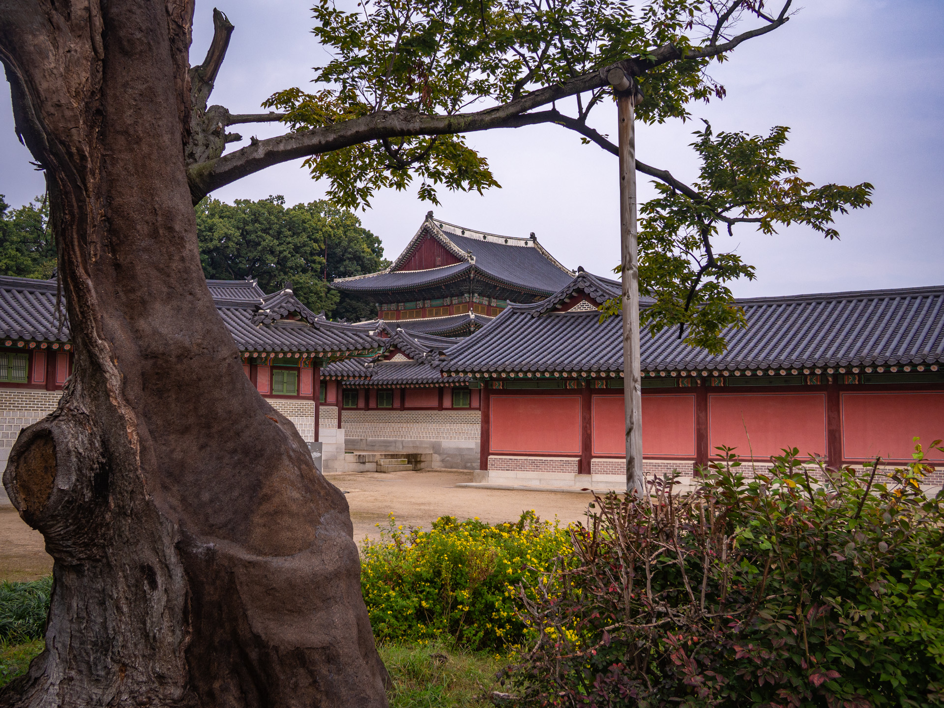 South Korea
